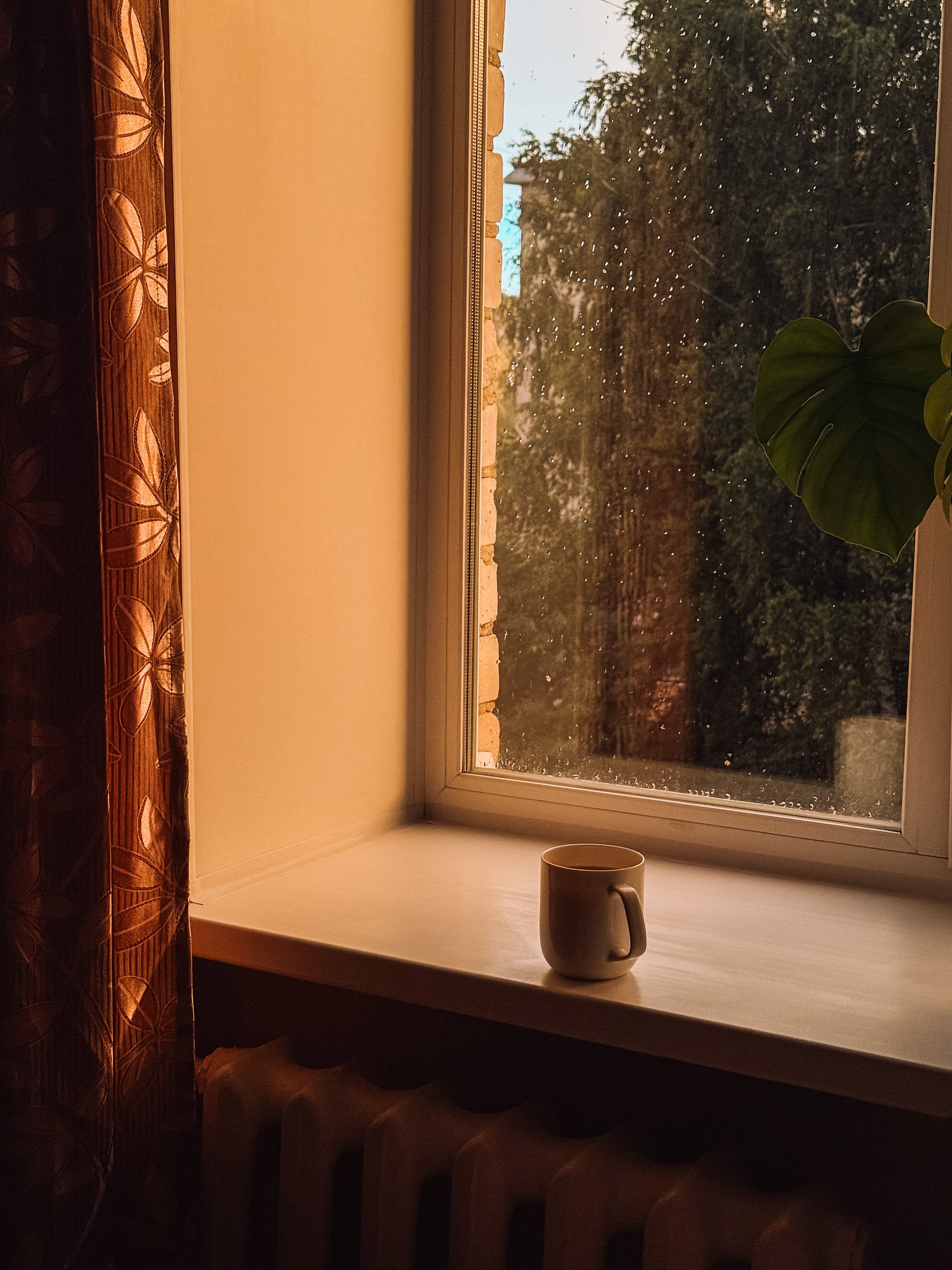 Kaffekopp i en vinduskarm